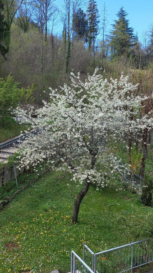 Appartamento Iremia Lama Mocogno Esterno foto